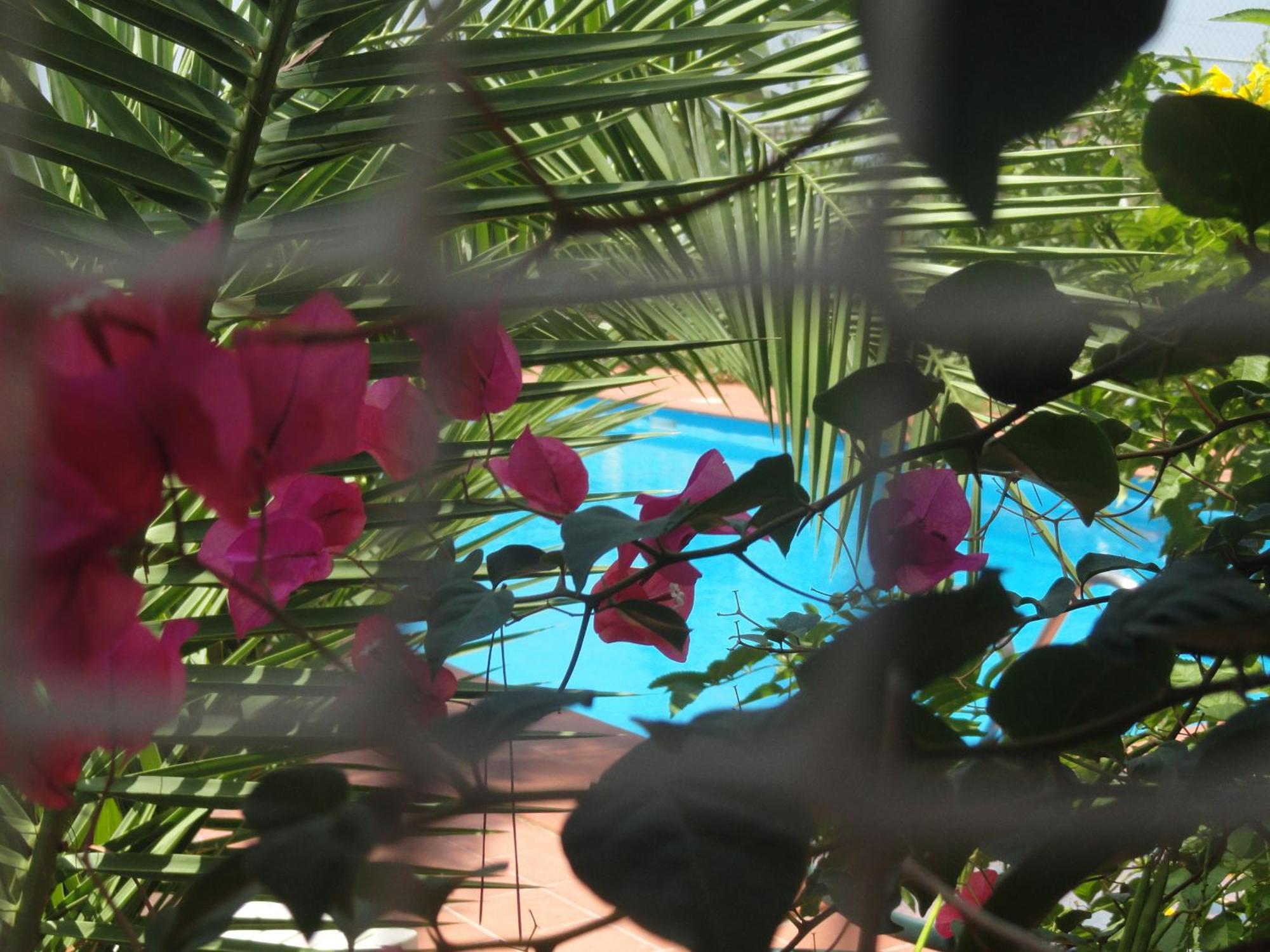 Villa Amodeo Paceco Dış mekan fotoğraf