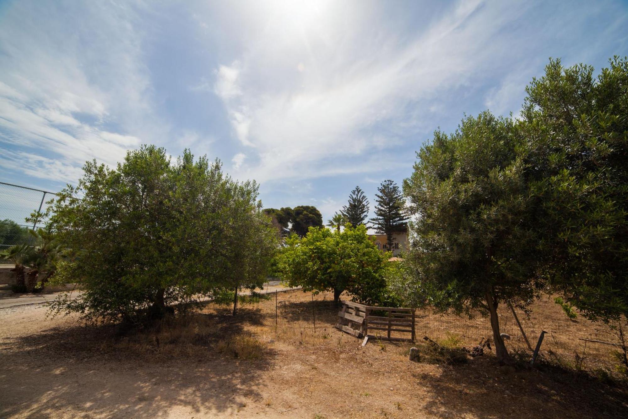 Villa Amodeo Paceco Dış mekan fotoğraf
