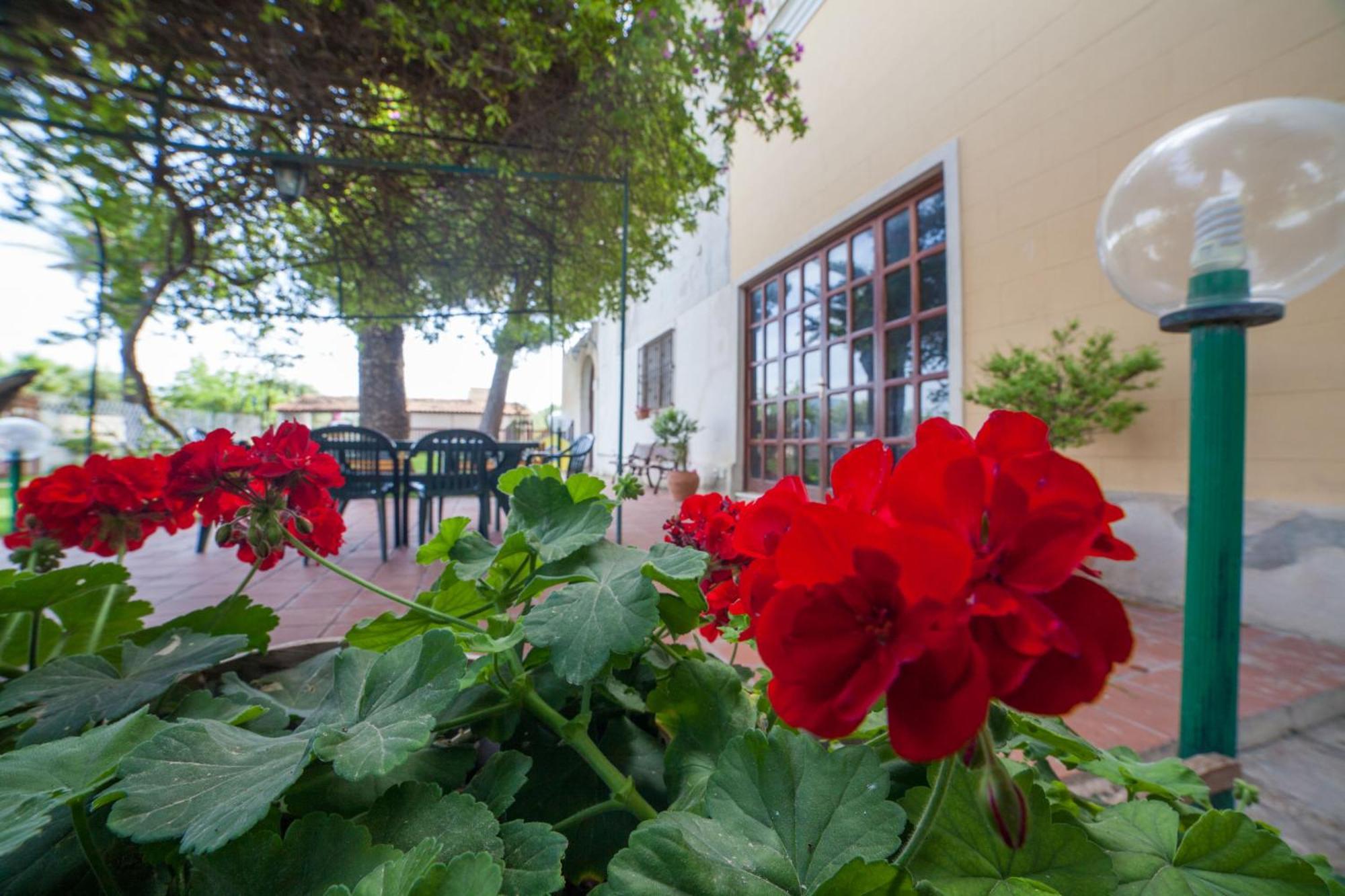 Villa Amodeo Paceco Dış mekan fotoğraf