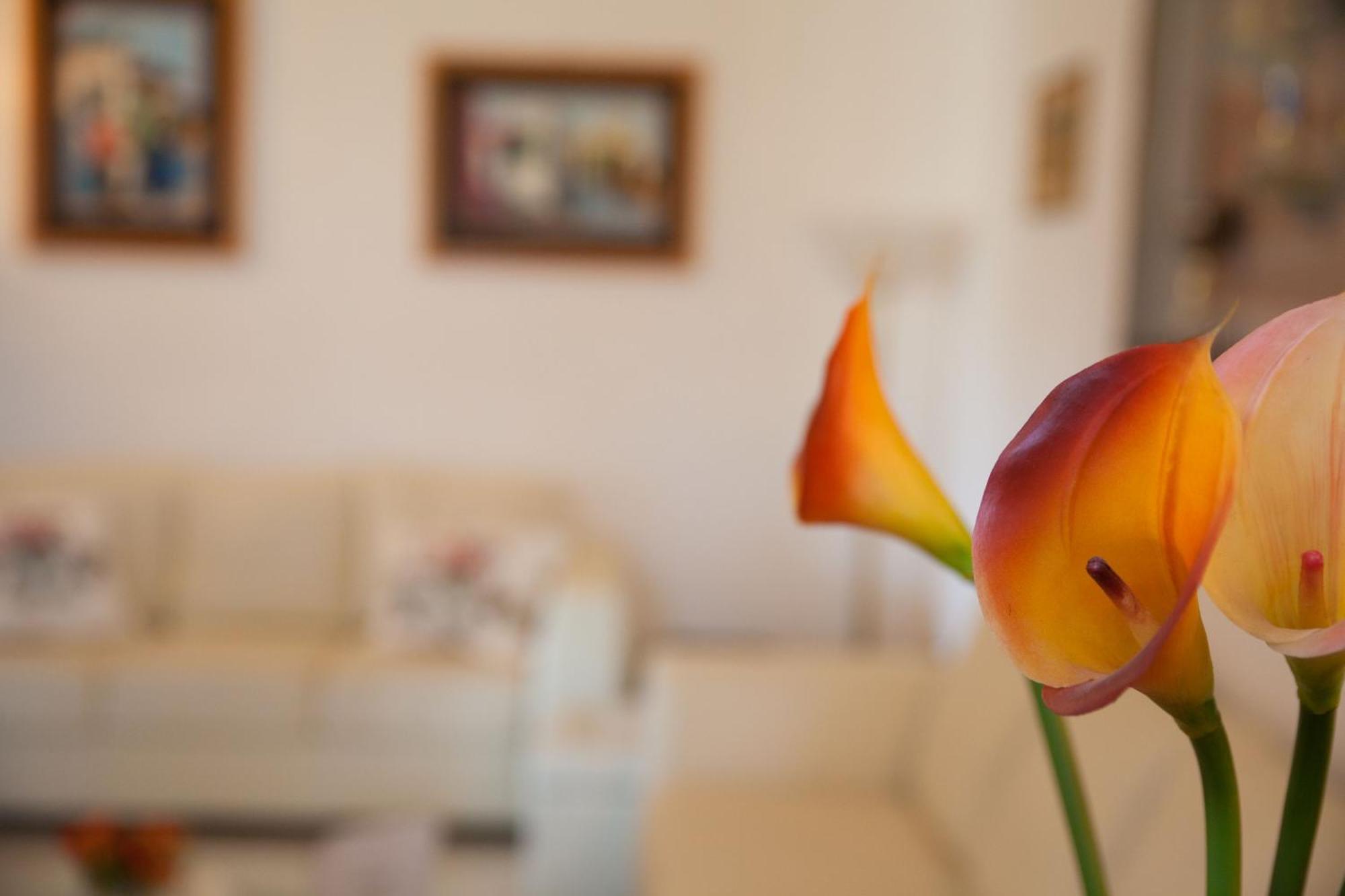 Villa Amodeo Paceco Dış mekan fotoğraf